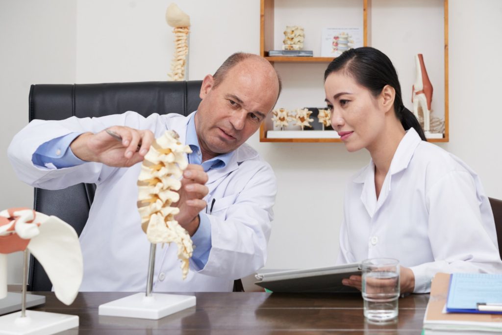 Chiropractors examining spine model to explain back structure and treatment plan
